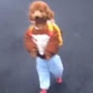 Meet your Posher, Sergio